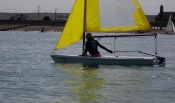 Sailing the club Laser Pico - concentrating hard!